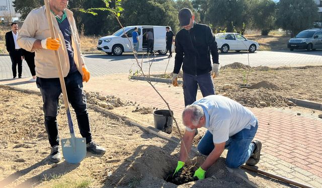 Duygu Bayhan Uzlaşı Parkı’nda 150 fidan toprakla buluşturuldu