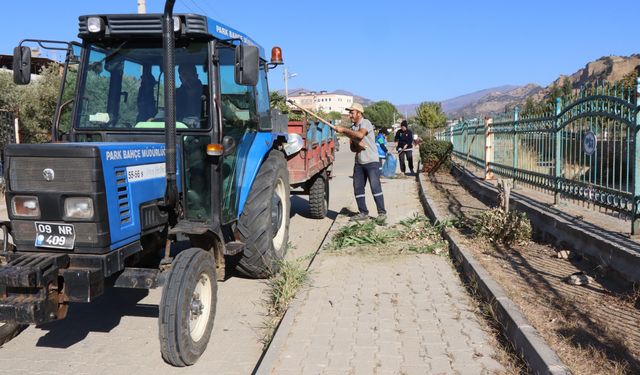 Nazilli Pınarbaşı yürüyüş yolu temizlendi