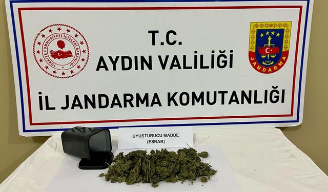 Ormanlık alanda gizlenen uyuşturucu jandarmanın dikkatinden kaçmadı