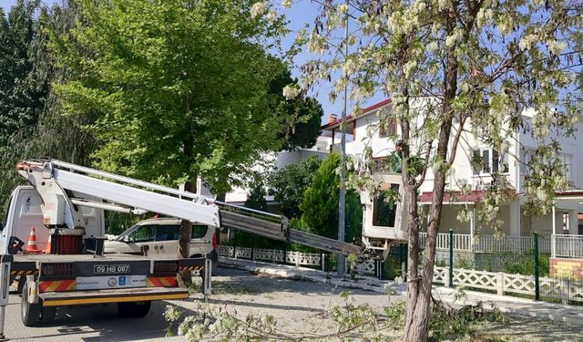 Aydın Büyükşehir Belediyesi'nin çalışmaları sürüyor