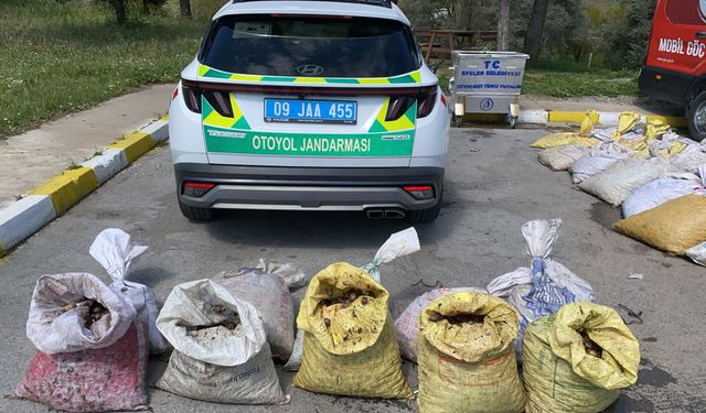 Jandarma 1 ton 800 kilogram salyangoz ele geçirdi