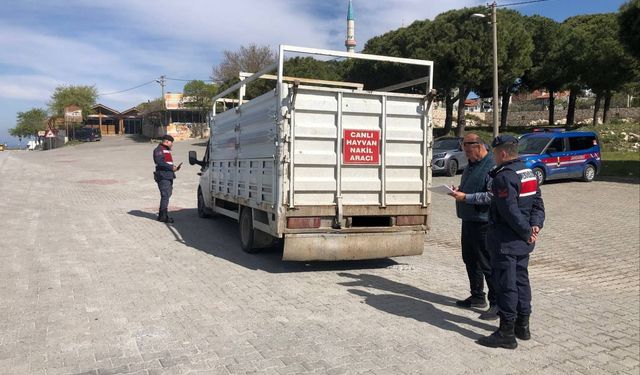 Canlı hayvan taşıyan araçlar denetlendi