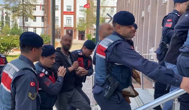 Kaçak üretim çiftliği ortaya çıktı: 5 bin kanatlı hayvan itlaf edildi