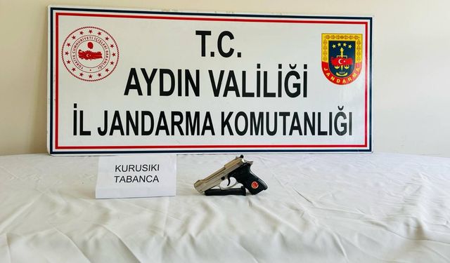 Jandarmadan silah kaçakçılarına operasyon: 10 gözaltı