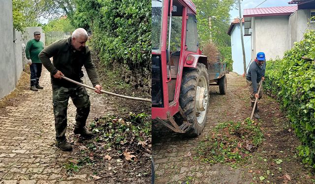 Karacasu Belediyesi’nden Kahvederesi Yaylası’nda temizlik mesaisi