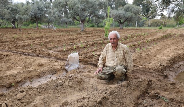 Mutluluğu toprakta buldular
