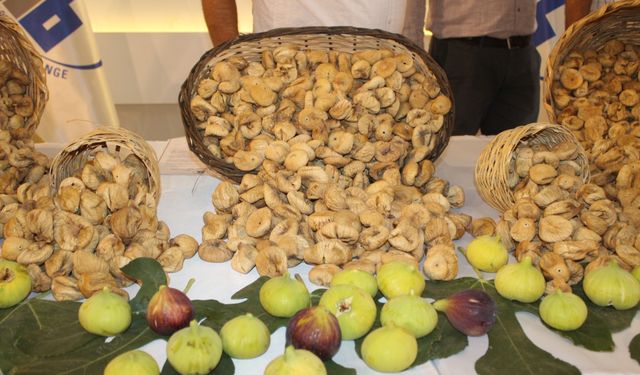 Kuru incir ihracatı yüzde 28 büyüdü