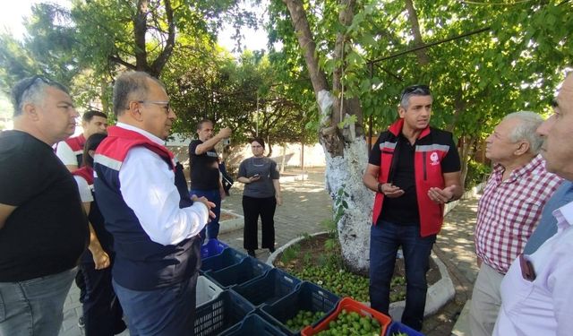 İlek tezgahları denetlendi