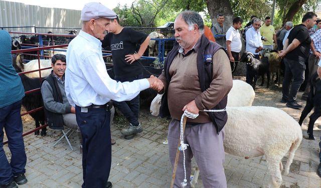 Bozdoğan Belediyesi’nden Kurban Bayramı öncesi satış yeri hizmeti