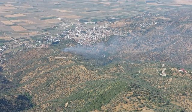 Zeytinlik yangını kontrol altına alındı
