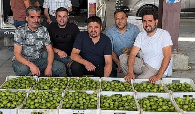 İlek Fiyatları Rekor Kırdı