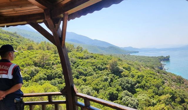 Jandarma ekipleri çevre ve orman yangınlarına karşı bilgilendirdi
