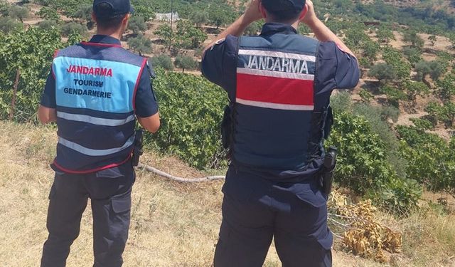 Ormanlar hem karadan hem havadan korunuyor
