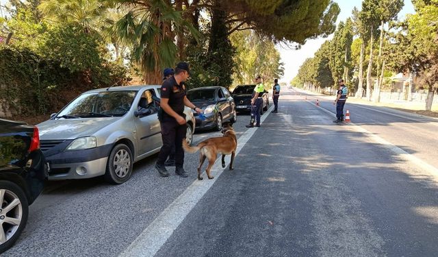 Jandarma festivalin güvenliğini sağlıyor