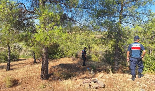 Ormanlara giren ve ateş yakanlara ceza yağdı