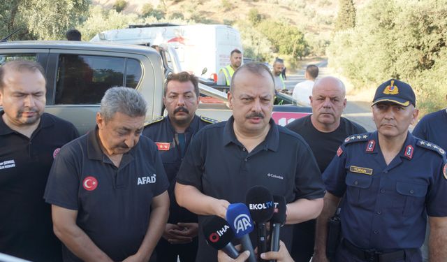 Aydın Valisi Canbolat: Yangın kontrol altına alındı