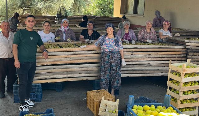 Nazillili genç girişimciden dünya pazarına incir cipsi