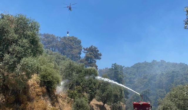 Orman yangını kontrol altına alındı