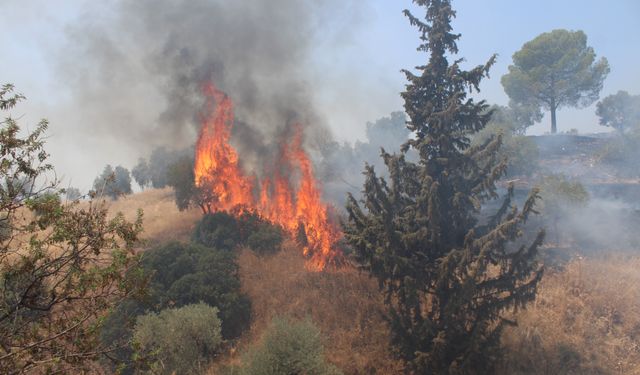Havaya ateş açan şahıslar yangına sebep oldu