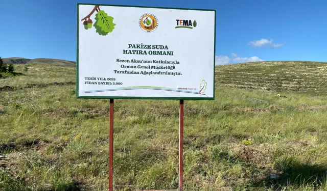 TEMA gönüllüsü Sezen Aksu, Pakize Suda adını hatıra ormanı ile yaşatacak