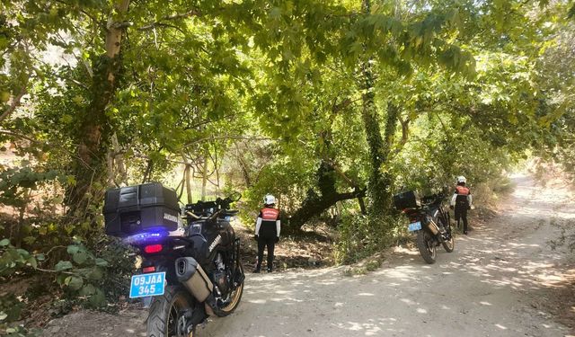 Aydın’da ormanlar jandarma gözetiminde