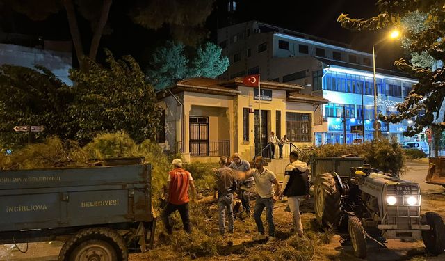 Çam ağacı kuvvetli rüzgara dayanamadı