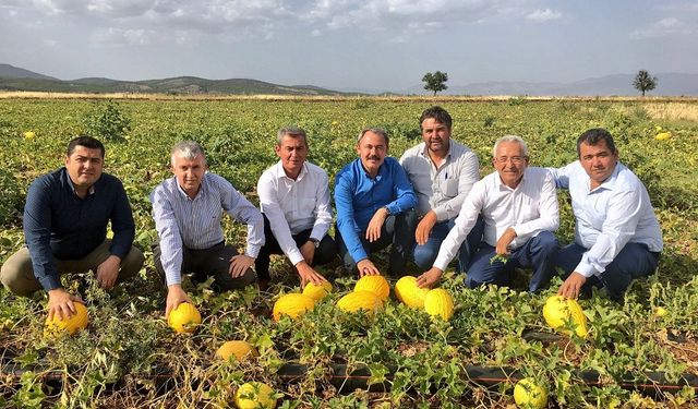 Asırlık miras Acıpayam kavunu tescillendi
