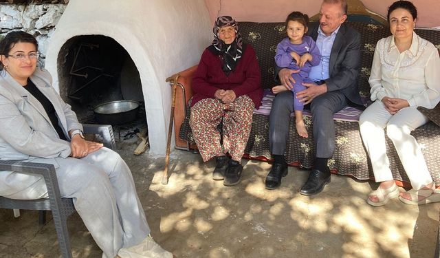 Koca çınara pasta kesildi