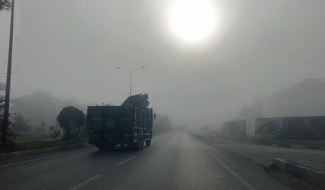 Aydın'da yoğun sis sürücülere zor anlar yaşattı