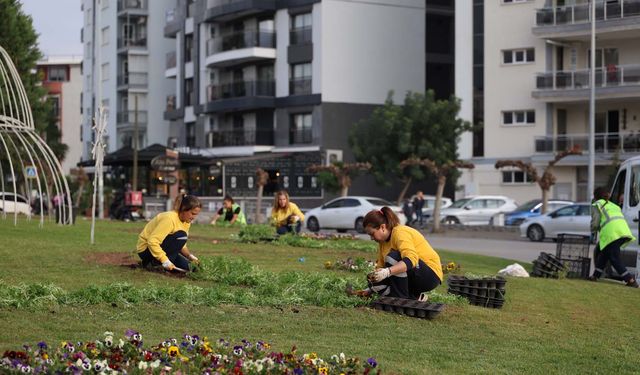 Aydın rengarenk çiçeklerle bezeniyor