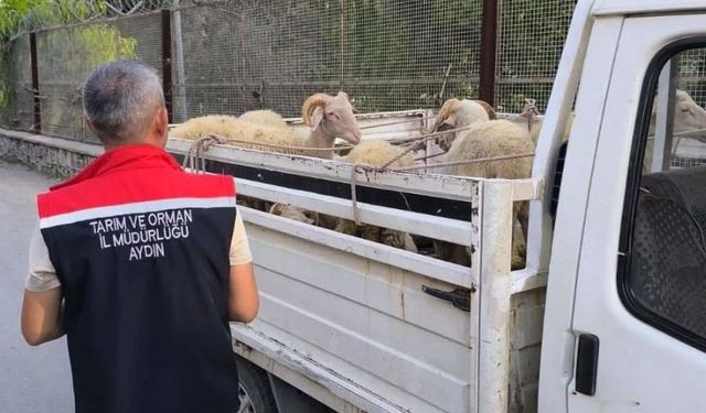 Hayvan hastalıkları ile mücadelede yol kontrolleri devam ediyor