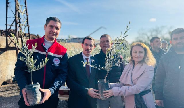 8 bin 700 adet fidan dağıtıldı