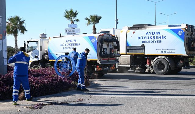 Büyükşehir ekiplerinden kapsamlı çevre temizliği
