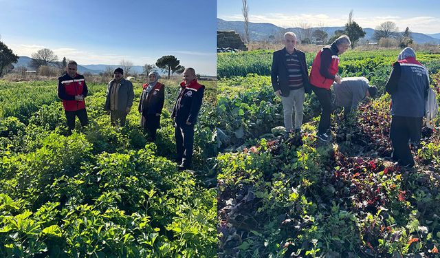 Tarımda kimyasalsız üretime yerinde inceleme