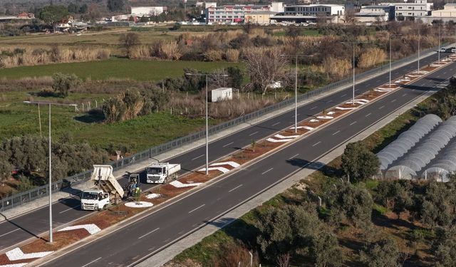 Aydın Büyükşehir Belediyesi'nden Acarlar-Şehir Hastanesi yolunda peyzaj düzenlemesi