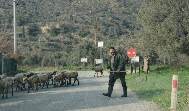 Havalar ısındı, sürüler doğaya salındı