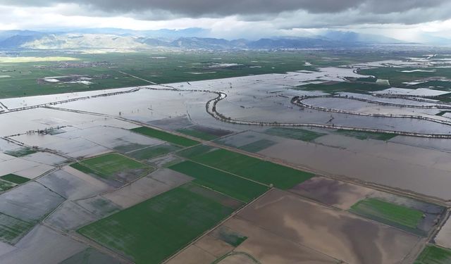 Aydın'daki taşkının izleri havadan görüntülendi
