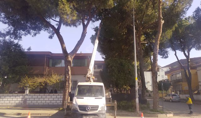 Nazillili muhtardan Başkan Çerçioğlu’na hizmet teşekkürü