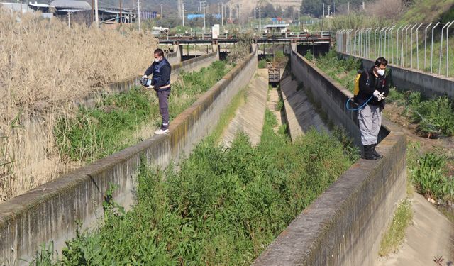 Nazilli Belediyesi sivrisinek ve haşereyle mücadeleye kesintisiz devam ediyor