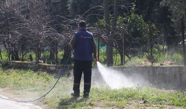 Bozdoğan bayrama hazırlanıyor