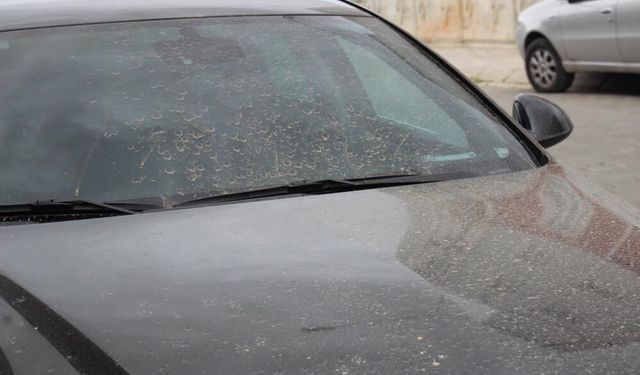 Aydın’da toz taşınımı bekleniyor