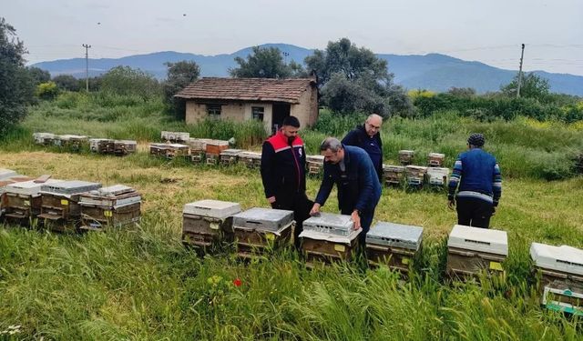 Aydın'da ana arı üretim kovanları denetlendi