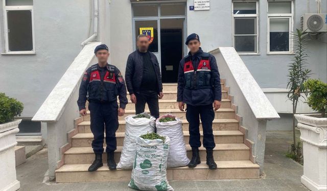 İncir bahçesinde jandarmadan suçüstü