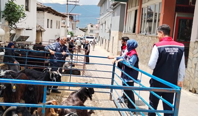 Bozdoğan'da kurban satış yerleri denetlendi