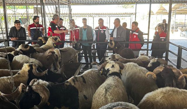 Aydın’da kurbanlık satış noktalarında kontrol yapıldı
