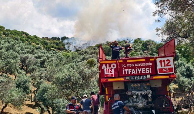 Yenipazar’daki makilik yangını kontrol altına alındı