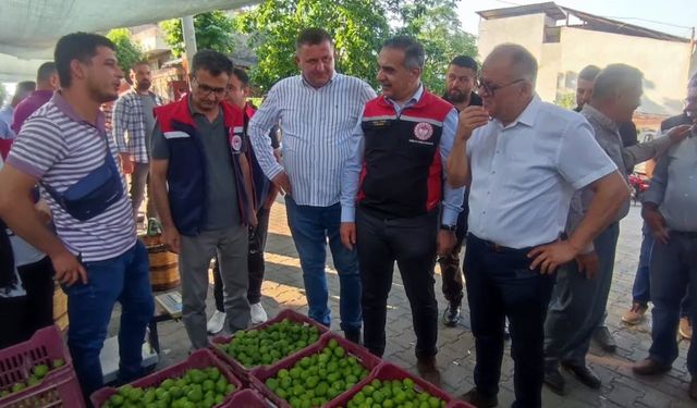 Aydın'da ilek pazarı denetimleri aralıksız sürüyor