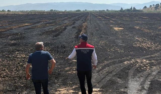 Yangından zarar gören tarım arazileri incelendi