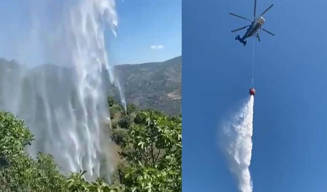 Yemek ısıtmak için yaktığı ateş incir bahçesini kül etti