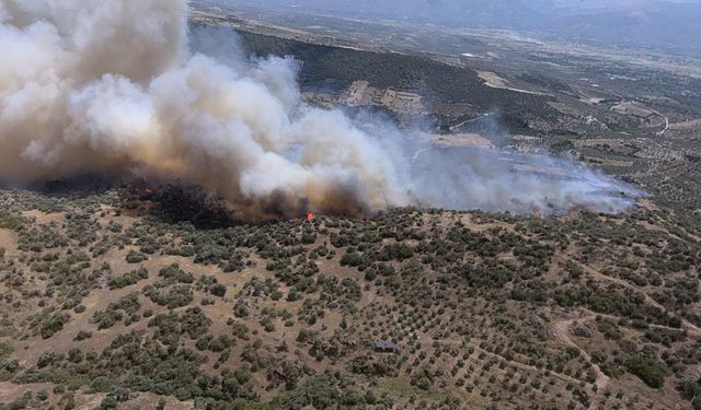 Bozdoğan'da ziraat alanında yangın çıktı